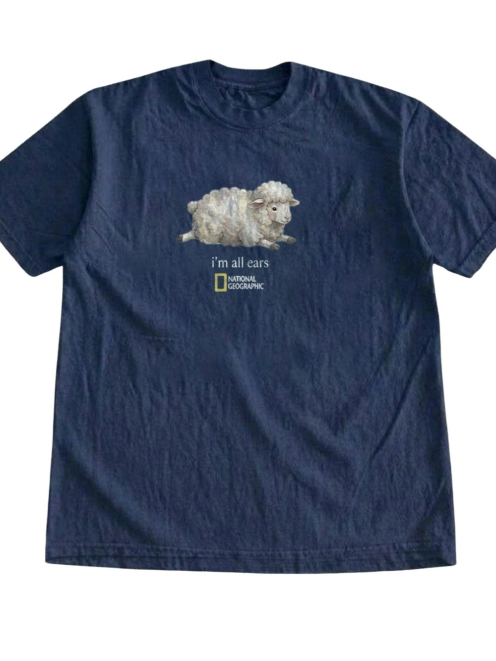 Gildan National Geographic Navy Tee with Sheep Graphic